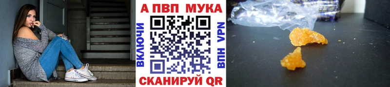 KRAKEN   Нягань  А ПВП крисы CK 