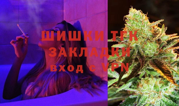 прущие грибы Новокубанск