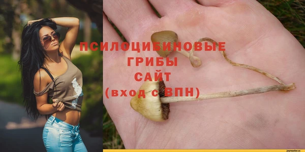 Альфа ПВП Новодвинск