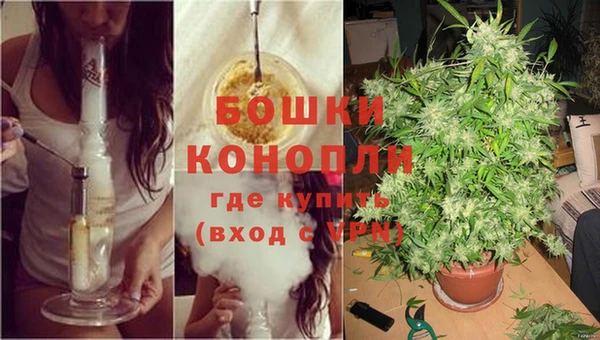 PSILOCYBIN Нефтекумск