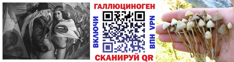 кракен   Нягань  Галлюциногенные грибы Psilocybe 