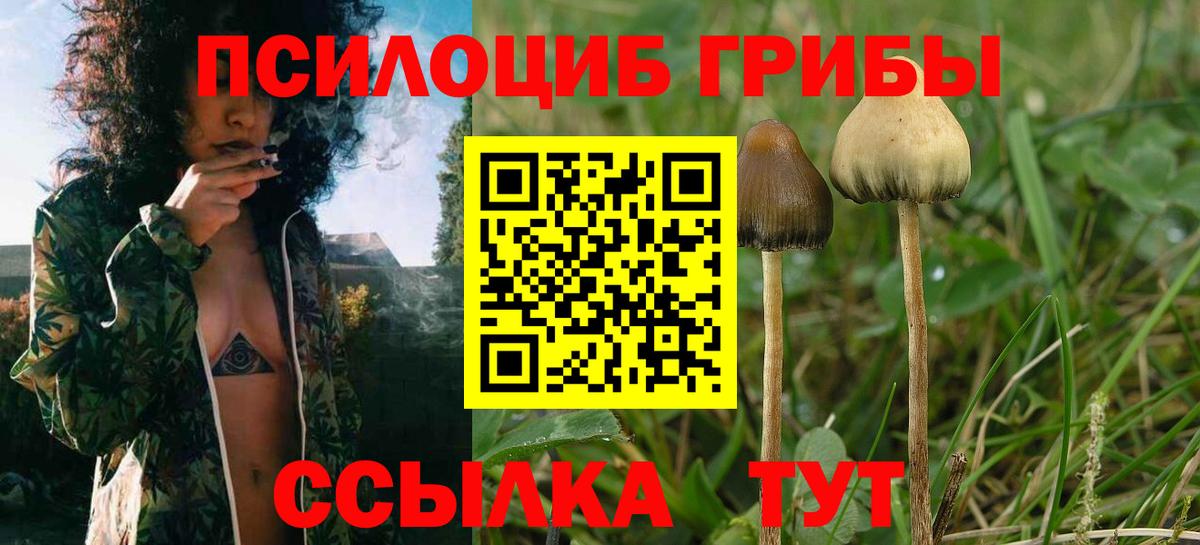 Псилоцибиновые грибы GOLDEN TEACHER Нягань
